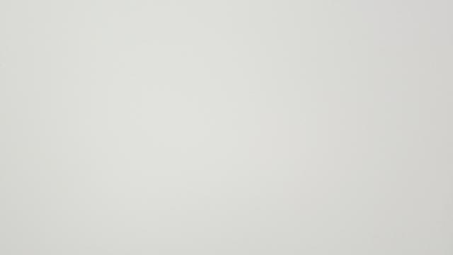 FORMICA VIVIX+ F9629 MAT EDF 1S