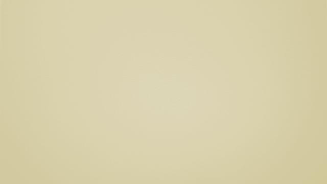 FORMICA VIVIX+ F9647 MAT EDF 1S