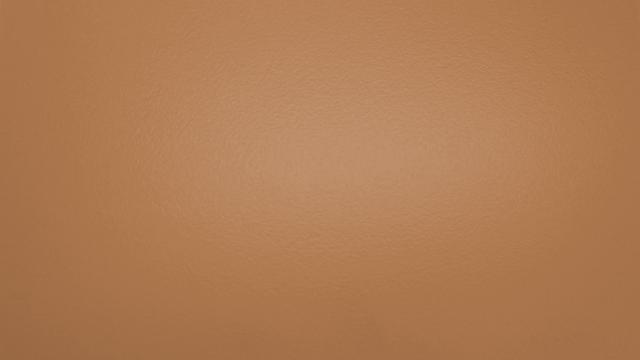 FORMICA VIVIX+ F9650 MAT EDF 1S