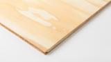 DETAIL8951
